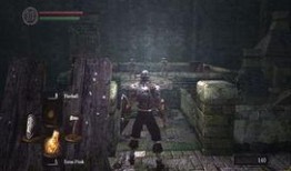 黑暗灵魂在线观看,沉浸式游戏体验背后的故事