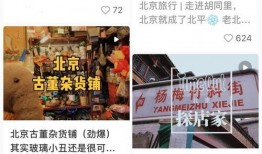 都市爆料网红排行榜最新,揭秘当下热门网红风云榜